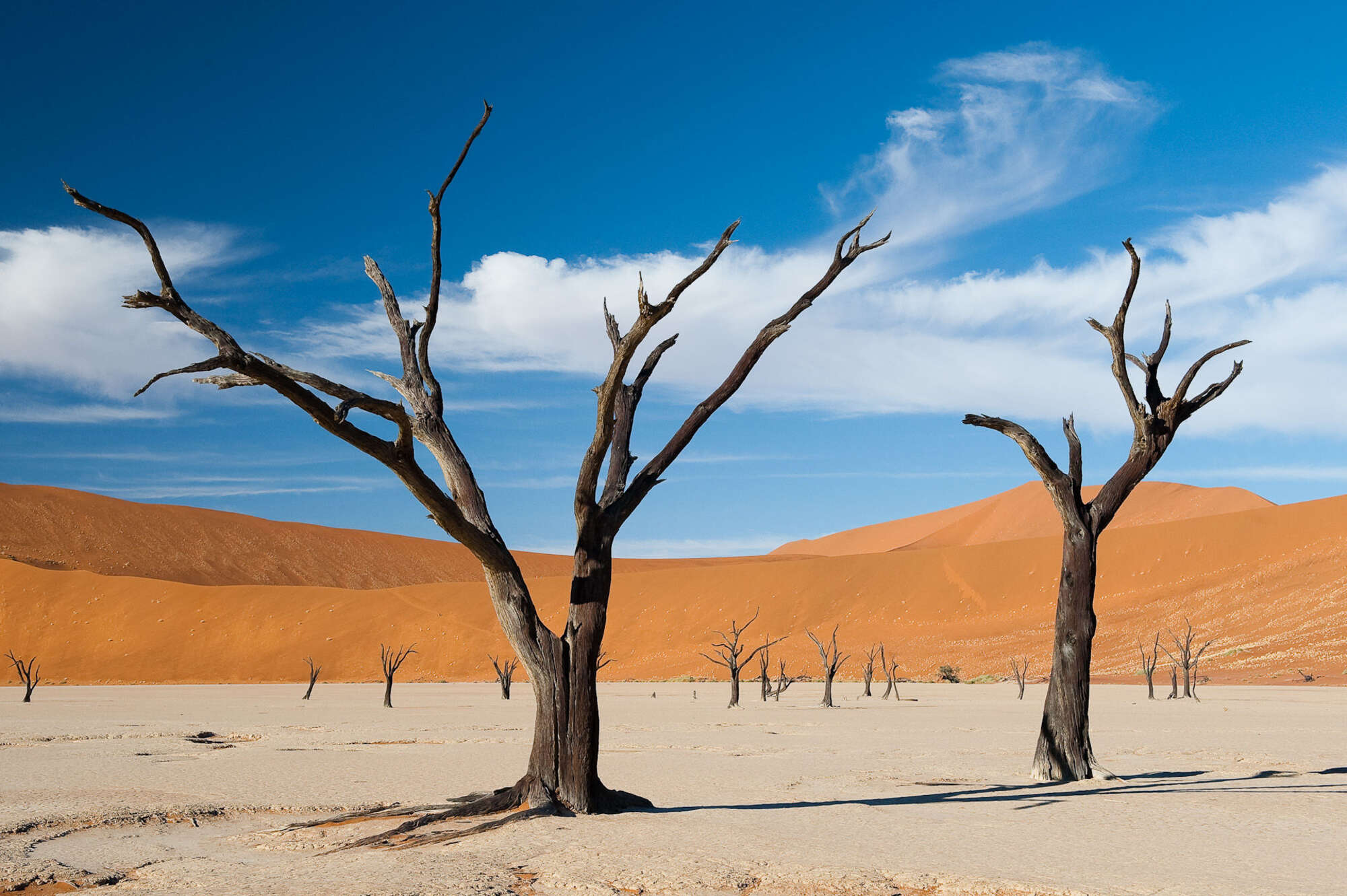 Namib Naukluft National Park, Namibia